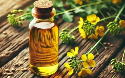 วิธีการทำพิมเสนน้ำ