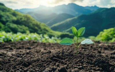 ตารางสำเร็จรูปในการผสมปุ๋ยไว้ใช้เอง