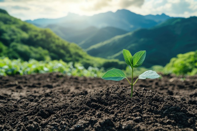 ตารางสำเร็จรูปในการผสมปุ๋ยไว้ใช้เอง