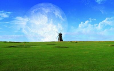 ไอเดียสร้างธุรกิจ กับ สนามฟุตบอล หญ้าเทียม