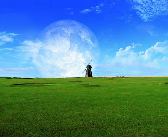 ไอเดียสร้างธุรกิจ กับ สนามฟุตบอล หญ้าเทียม